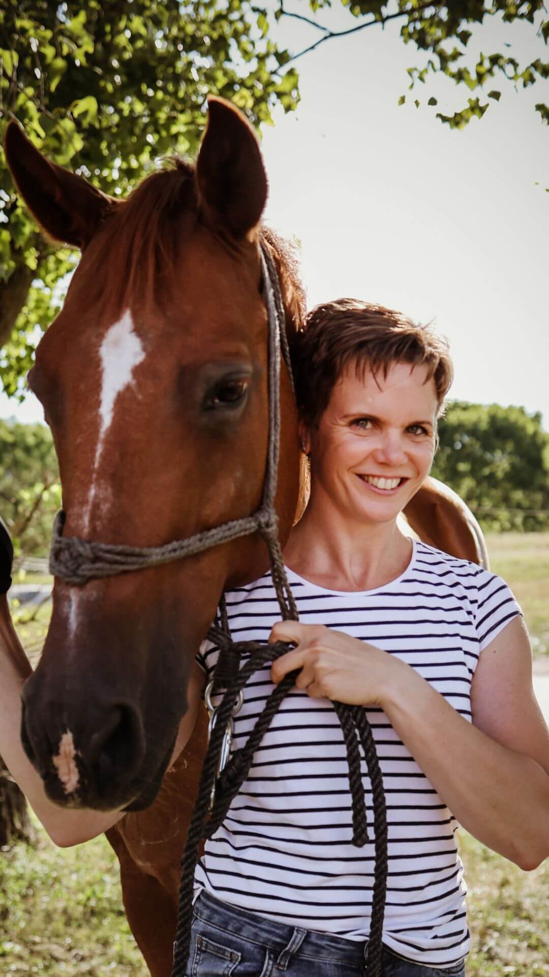 dr Tornyi Katalin egy ló mellett